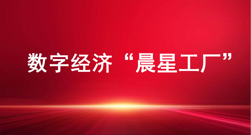 裕航合金、長(zhǎng)壽花食品入選山東省首批數(shù)字經(jīng)濟(jì)“晨星工廠”